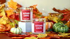 Autumn Leaves Container Candle, photo 3 of 5